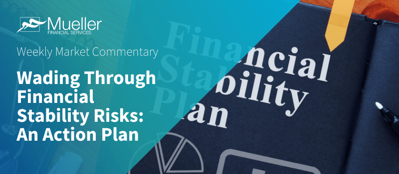 Wading Through Financial Stability Risks: An Action Plan