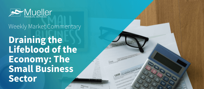 Draining the Lifeblood of the Economy: The Small Business Sector
